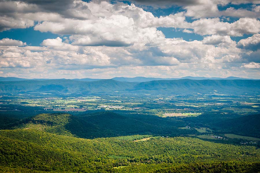 Forest VA - Aerial View Of Small Town Forest Virginia